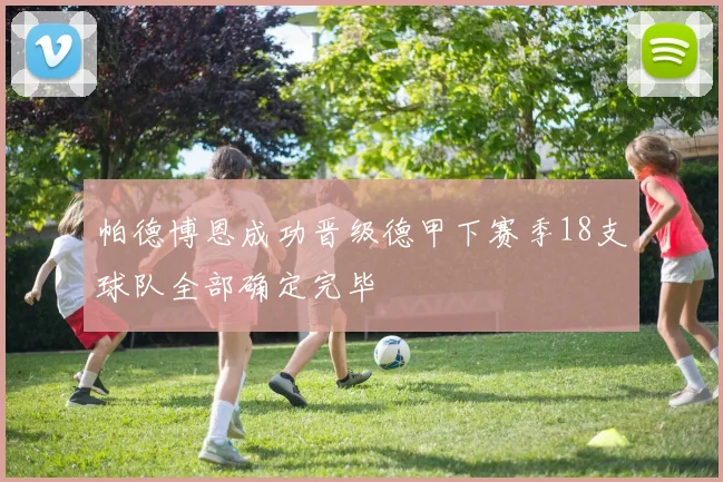 帕德博恩成功晋级德甲下赛季18支球队全部确定完毕